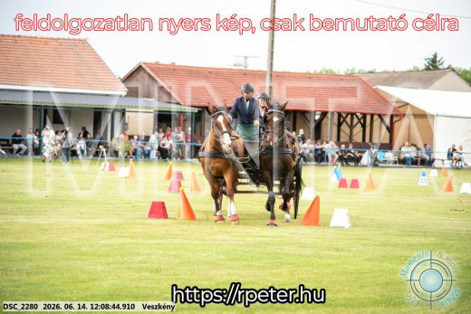 Mintakép 20260614-284