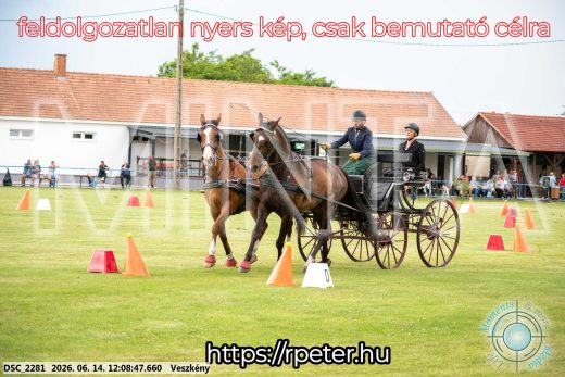 Mintakép 20260614-285