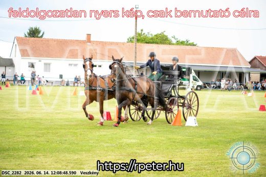 Mintakép 20260614-286