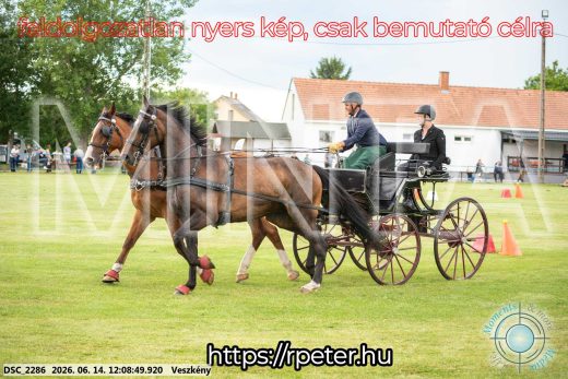 Mintakép 20260614-288