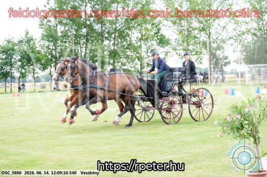 Mintakép 20260614-289