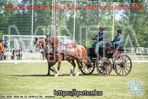 Mintakép 20260612-445