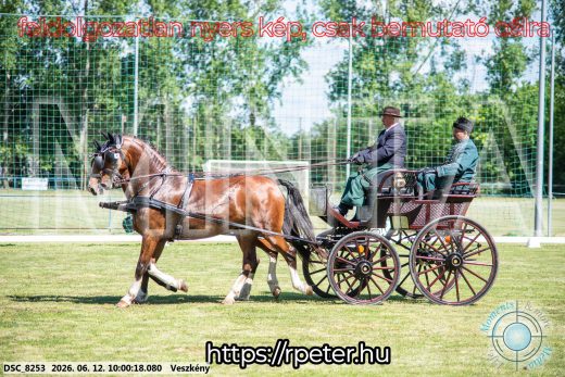 Mintakép 20260612-446