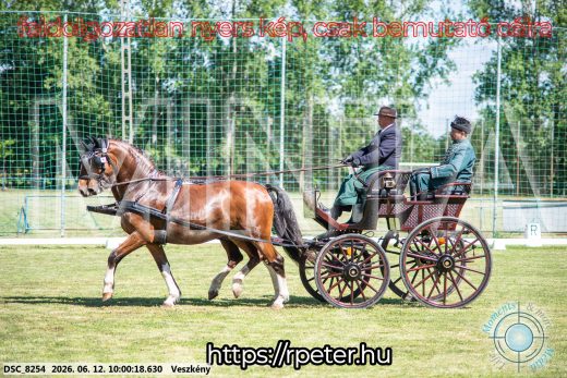 Mintakép 20260612-447