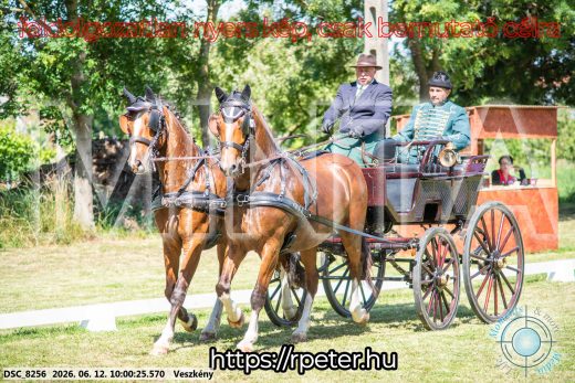 Mintakép 20260612-450