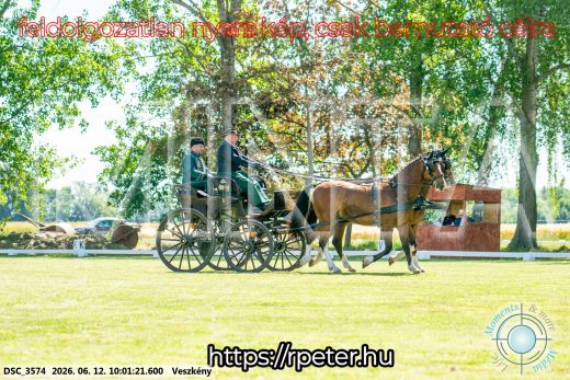 Mintakép 20260612-452