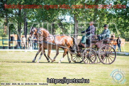 Mintakép 20260612-454
