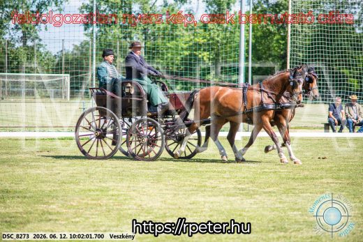 Mintakép 20260612-456