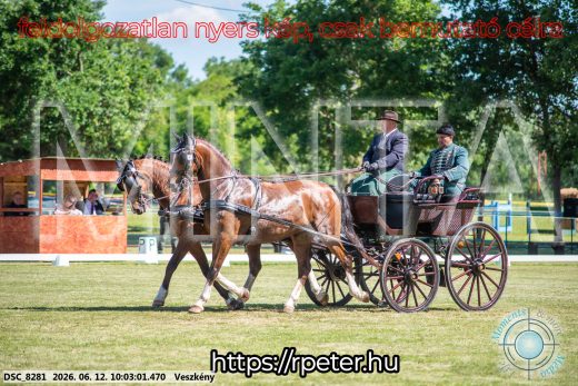 Mintakép 20260612-458