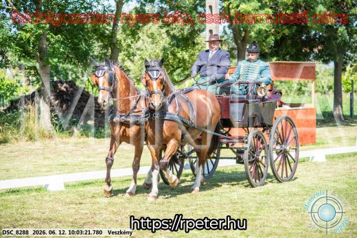 Mintakép 20260612-459