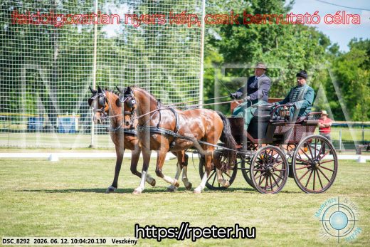 Mintakép 20260612-462