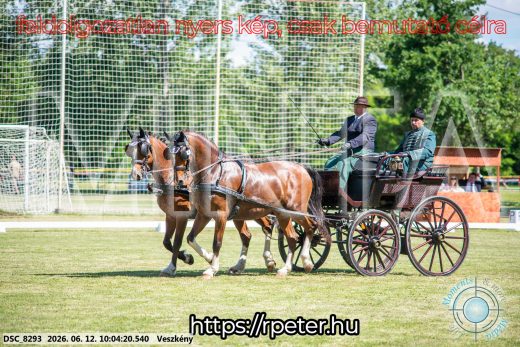 Mintakép 20260612-463