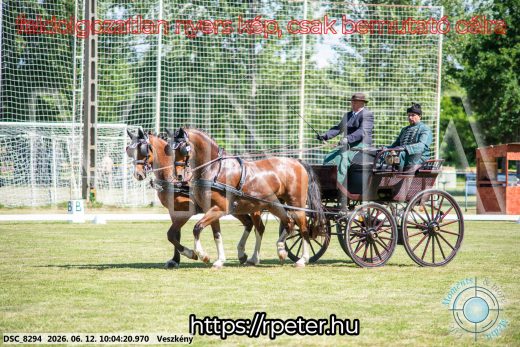 Mintakép 20260612-464