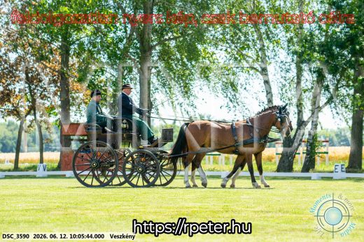 Mintakép 20260612-467