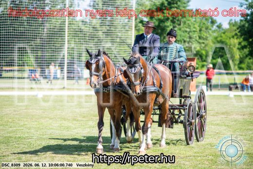 Mintakép 20260612-468