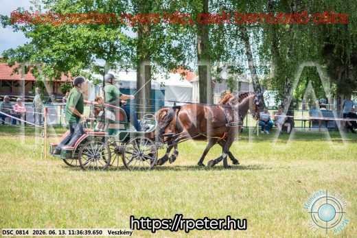 Mintakép 20260613-825