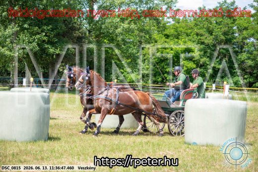 Mintakép 20260613-826