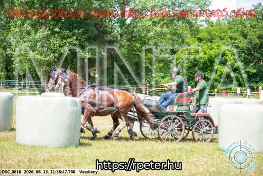 Mintakép 20260613-827