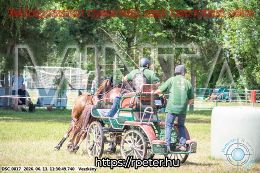 Mintakép 20260613-828