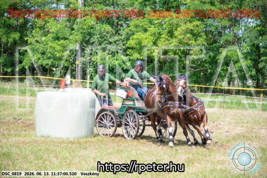 Mintakép 20260613-829