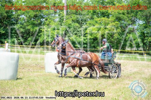 Mintakép 20260613-831