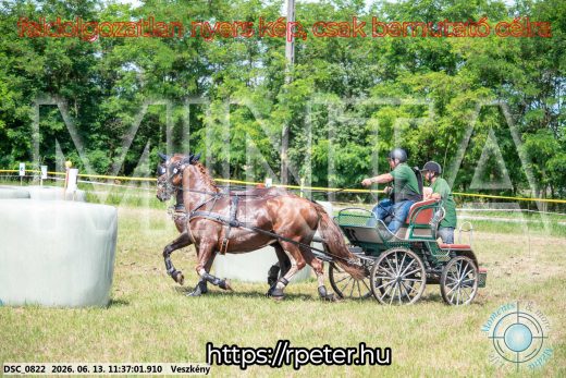 Mintakép 20260613-832