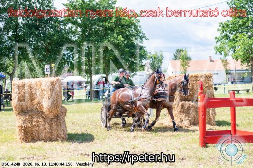 Mintakép 20260613-836