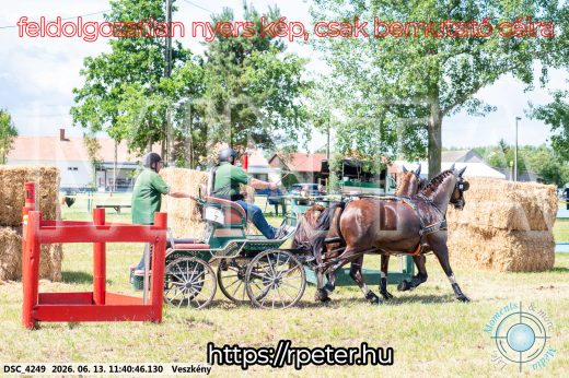Mintakép 20260613-837