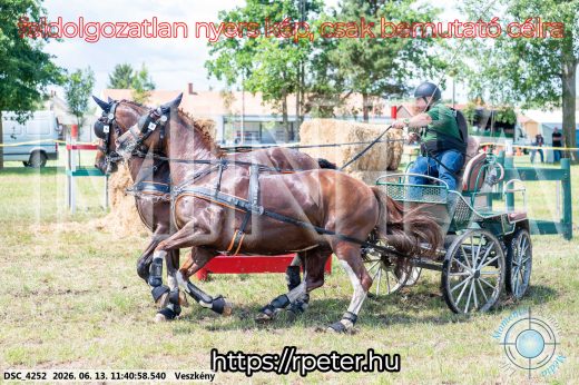 Mintakép 20260613-839