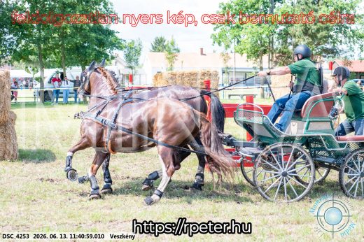 Mintakép 20260613-840