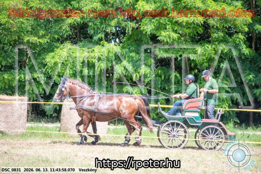 Mintakép 20260613-843