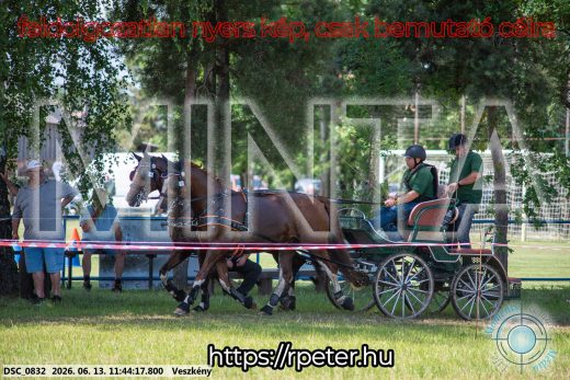 Mintakép 20260613-844
