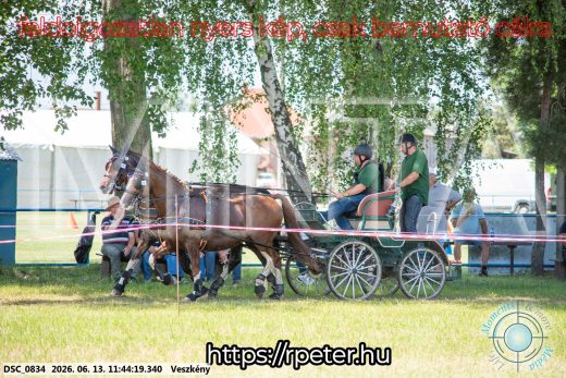 Mintakép 20260613-845