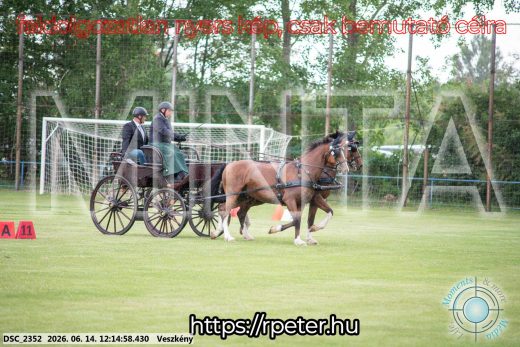 Mintakép 20260614-290