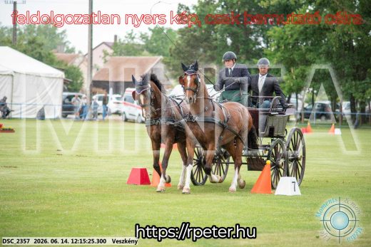 Mintakép 20260614-293