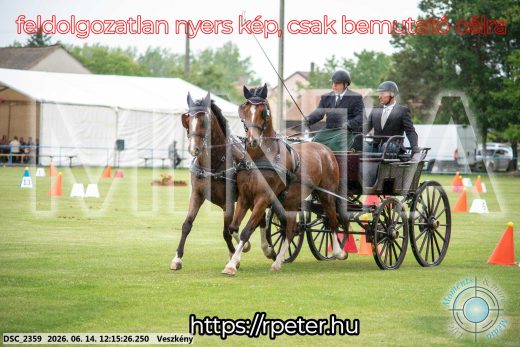 Mintakép 20260614-295