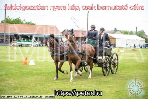 Mintakép 20260614-296