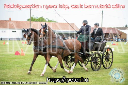 Mintakép 20260614-297