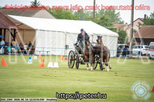 Mintakép 20260614-298