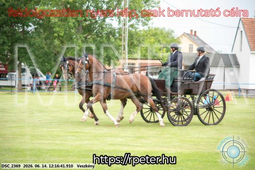 Mintakép 20260614-301