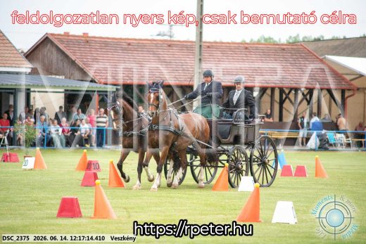 Mintakép 20260614-303