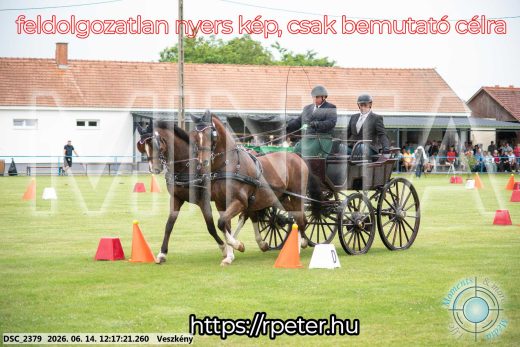 Mintakép 20260614-306