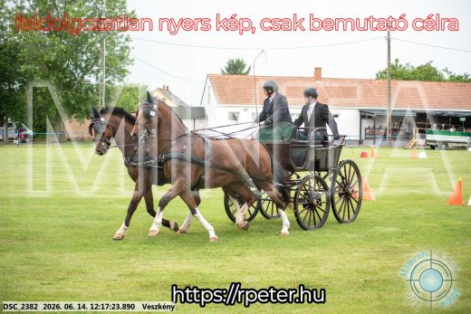 Mintakép 20260614-307