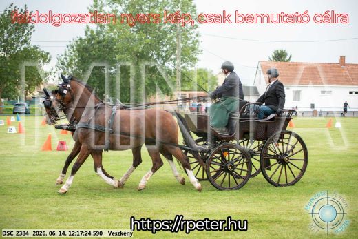 Mintakép 20260614-308