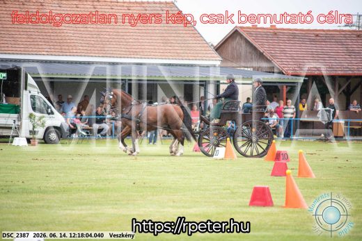 Mintakép 20260614-309