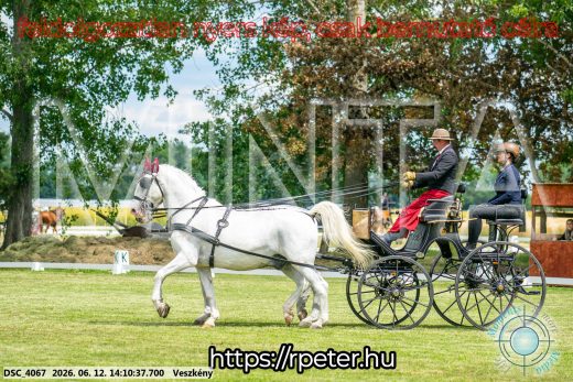 Mintakép 20260612-475