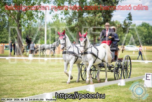 Mintakép 20260612-476