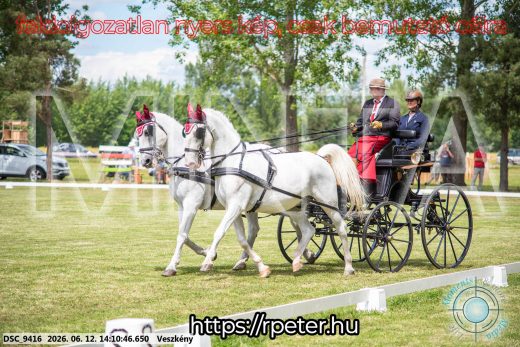Mintakép 20260612-477