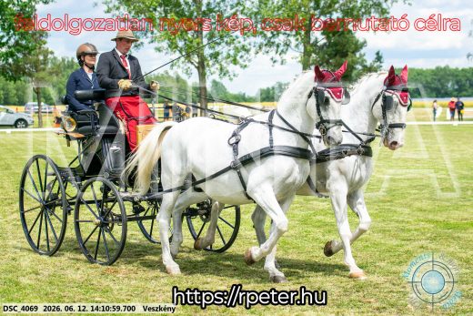 Mintakép 20260612-479