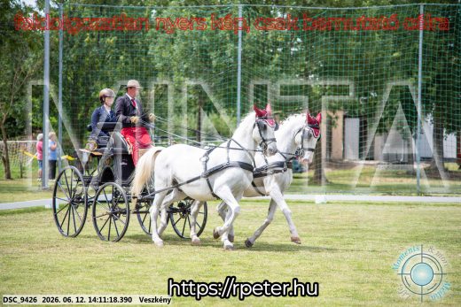 Mintakép 20260612-481